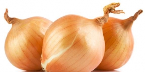 Kako posaditi luk i beli luk